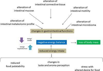 Spaceflight Induced Disorders: Potential Nutritional Countermeasures